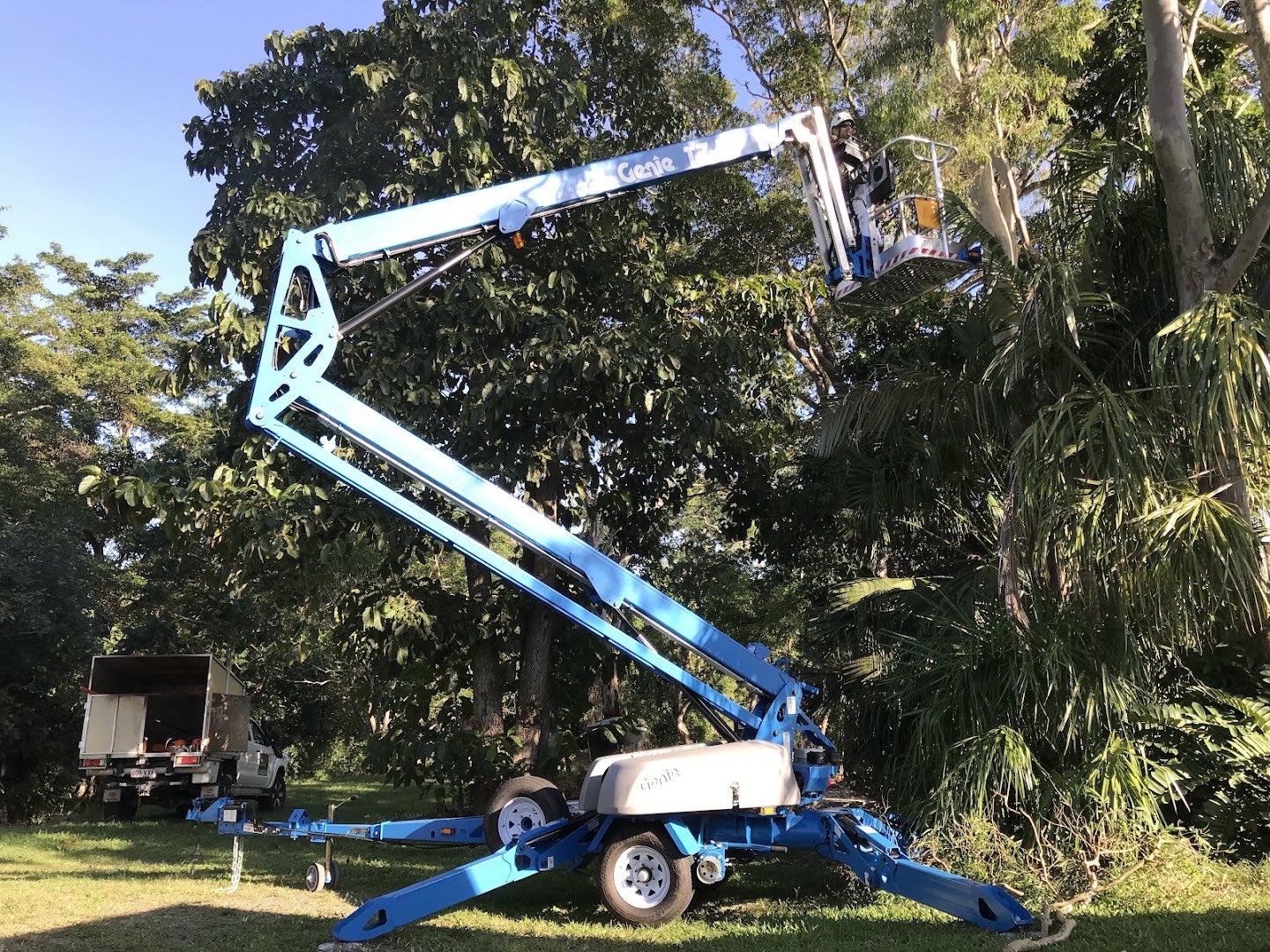 A trailer-mounted boom lift raised into a tree canopy with a worker in the basket